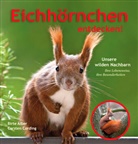 Birte Alber, Carsten Cording, Carsten (Dr.) Cording, Dr. C, Carsten Dr. Cording, Karsten Dr. Cording... - Eichhörnchen entdecken!