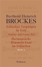 Barthold Heinrich Brockes, Jürgen Rathje - Irdisches Vergnügen in Gott