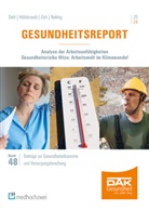 Terese Dehl, Susanne Hildebrandt, Hans-Dieter Nolting, Karsten Zich, Karsten u Zich, Nürnberg... - Gesundheitsreport 2024