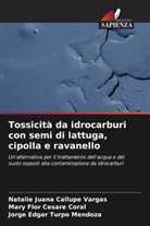 Natalie Juana Callupe Vargas, Mary Flor Césare Coral, Jorge Edgar Turpo Mendoza - Tossicità da idrocarburi con semi di lattuga, cipolla e ravanello