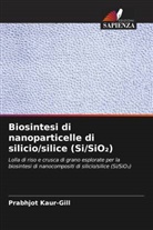 Prabhjot Kaur-Gill - Biosintesi di nanoparticelle di silicio/silice (Si/SiO2)