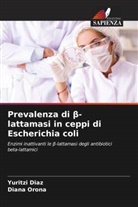Yuritzi Diaz, Diana Orona - Prevalenza di beta-lattamasi in ceppi di Escherichia coli