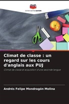 Andrés Felipe Mondragón Molina - Climat de classe : un regard sur les cours d'anglais aux PUJ