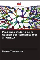 Mintwab Yemane Ayele - Pratiques et défis de la gestion des connaissances à l'UNECA