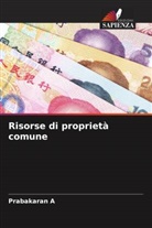 Prabakaran A - Risorse di proprietà comune