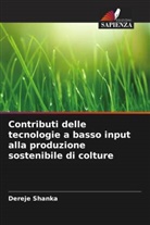 Dereje Shanka - Contributi delle tecnologie a basso input alla produzione sostenibile di colture
