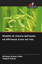 Yogesh Kumar, Shriman Kumar Patel - Modello di rilascio dell'azoto ed efficienza d'uso nel riso