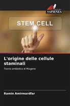 Ramin Amirmardfar - L'origine delle cellule staminali