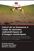 Martin A. Bolaños, Ernesto Chávez, Fernado Paz Pellat - Calcul de la biomasse à l'aide de données radiométriques et d'images numériques