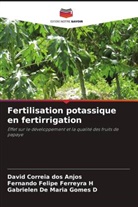 David Correia Dos Anjos, Gabrielen de Maria Gomes D, Fernando Felipe Ferreyra H - Fertilisation potassique en fertirrigation