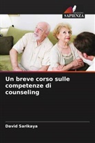 David Sarikaya - Un breve corso sulle competenze di counseling