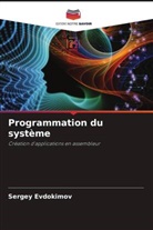 Sergey Evdokimov - Programmation du système