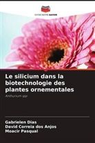 Gabrielen Dias, David Correia Dos Anjos, Moacir Pasqual - Le silicium dans la biotechnologie des plantes ornementales