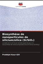 Prabhjot Kaur-Gill - Biosynthèse de nanoparticules de silicium/silice (Si/SiO2)