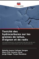 Natalie Juana Callupe Vargas, Mary Flor Césare Coral, Jorge Edgar Turpo Mendoza - Toxicité des hydrocarbures sur les graines de laitue, d'oignon et de radis