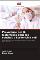 Yuritzi Diaz, Diana Orona - Prévalence des beta-lactamases dans les souches d'Escherichia coli
