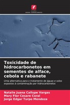 Natalie Juana Callupe Vargas, Mary Flor Césare Coral, Jorge Edgar Turpo Mendoza - Toxicidade de hidrocarbonetos em sementes de alface, cebola e rabanete