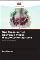 Igor Marroni - Une thèse sur les nouveaux modes d'exploitation agricole