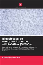 Prabhjot Kaur-Gill - Biossíntese de nanopartículas de silício/sílica (Si/SiO2)