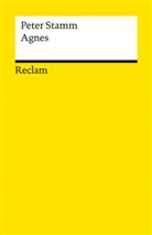 Peter Stamm - Agnes. Roman