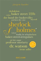 Jürgen Kaube - Sherlock Holmes. 100 Seiten
