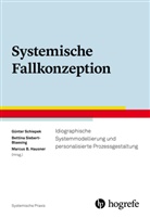 Marcus B Hausner, Marcus B. Hausner, Günter Schiepek, Bettina Siebert-Blaesing - Systemische Fallkonzeption
