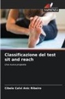 Cibele Calvi Anic Ribeiro - Classificazione del test sit and reach