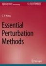 C. Y. Wang, C.Y. Wang - Essential Perturbation Methods
