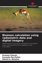 Martin A. Bolaños, Ernesto Chávez, Fernado Paz Pellat - Biomass calculation using radiometric data and digital imagery