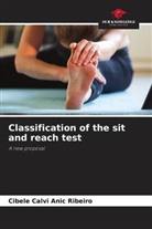 Cibele Calvi Anic Ribeiro - Classification of the sit and reach test