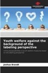 Joshua Brandt - Youth welfare against the background of the labeling perspective