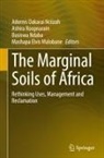 Mashapa Elvis Malobane, Adornis Dakarai Nciizah, Busiswa Ndaba, Ashira Roopnarain - The Marginal Soils of Africa