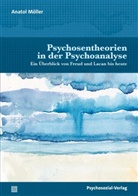 Anatol Möller - Psychosentheorien in der Psychoanalyse