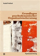 Dette Alfert, Petra Beyer, H, Rudolf Heltzel - Grundlagen psychodynamischer Organisationsberatung