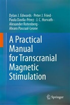 Paul Davila-Pérez, Paula Davila-Pérez, Dylan J Edwards, Dylan J. Edwards, Peter J Fried, Peter J. Fried... - A Practical Manual for Transcranial Magnetic Stimulation