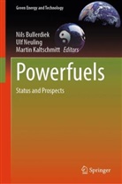 Nils Bullerdiek, Martin Kaltschmitt, Ulf Neuling - Powerfuels