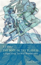 Z J Galos - The body of the plane II