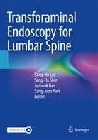 Junseok Bae, Junseok Bae et al, Sang-Ho Lee, Sang-Joon Park, Sang-Ha Shin - Transforaminal Endoscopy for Lumbar Spine