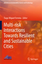 Tiago Miguel Ferreira - Multi-risk Interactions Towards Resilient and Sustainable Cities