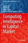Mehmet Apan, Mehmet Apan et al, Shirmohammad Tavangari, Aref Yelghi, Asef Yelghi - Computing Intelligence in Capital Market
