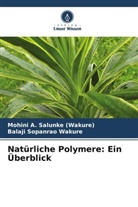 Mohini A Salunke (Wakure), Mohini A. Salunke (Wakure), Balaji Sopanrao Wakure - Natürliche Polymere: Ein Überblick