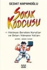 Sedat Kapanoglu - Sokak Kodcusu