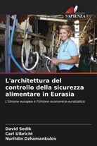 Nuritdin Dzhamankulov, David Sedik, Carl Ulbricht - L'architettura del controllo della sicurezza alimentare in Eurasia