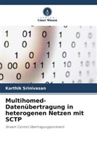 Karthik Srinivasan - Multihomed-Datenübertragung in heterogenen Netzen mit SCTP