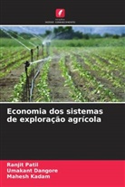 Umakant Dangore, Mahesh Kadam, Ranjit Patil - Economia dos sistemas de exploração agrícola