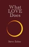 Steve Zolno - What LOVE Does