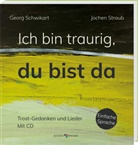 Georg Schwikart, Jochen Straub - Ich bin traurig, du bist da