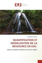 Abdelghani Qadem - QUANTIFICATION ET MODELISATION DE LA RESSOURCE EN EAU