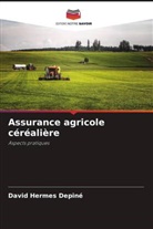 David Hermes Depiné - Assurance agricole céréalière