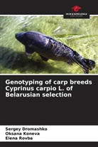 Sergey Dromashko, Oksana Koneva, Elena Rovba - Genotyping of carp breeds Cyprinus carpio L. of Belarusian selection